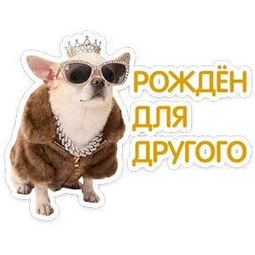 Стикер 8 из набора Пёсели