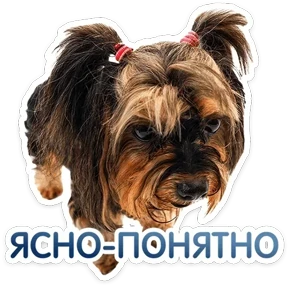 Стикер 5 из набора Пёсели