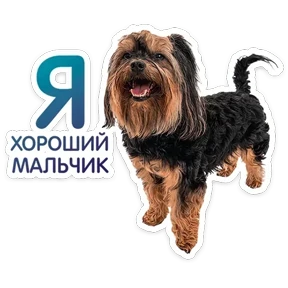 Стикер 15 из набора Пёсели