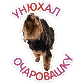 Стикер 17 из набора Пёсели