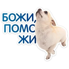 Стикер 6 из набора Пёсели