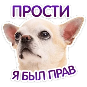 Стикер 21 из набора Пёсели