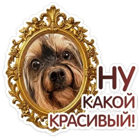 Стикер 23 из набора Пёсели