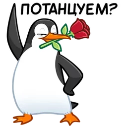 Стикер 2 из набора Пингвин