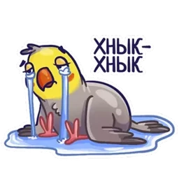 Стикер 2 из набора Попугайчики