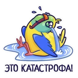 Стикер 5 из набора Попугайчики