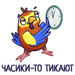 Стикер 6 из набора Попугайчики