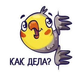 Стикер 2 из набора Попугайчики