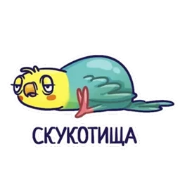 Стикер 3 из набора Попугайчики