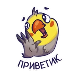 Стикер 15 из набора Попугайчики