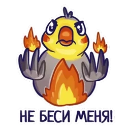 Стикер 17 из набора Попугайчики