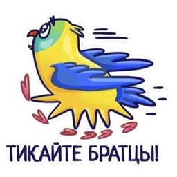 Стикер 20 из набора Попугайчики