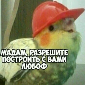 Стикер из набора попуги