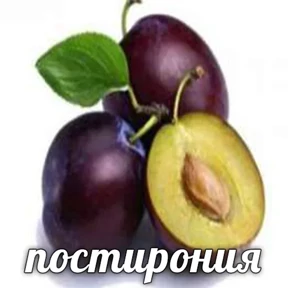 Стикер 14 из набора постирония