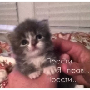 Стикер 3 из набора prikol