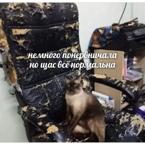 Стикер 14 из набора prikol