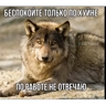 Обложка набора Проверочный