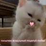 Обложка набора Prprprpro
