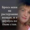 Обложка набора пупипупи