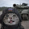 Обложка набора @pupupu: набор 2