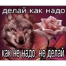 Обложка набора раб