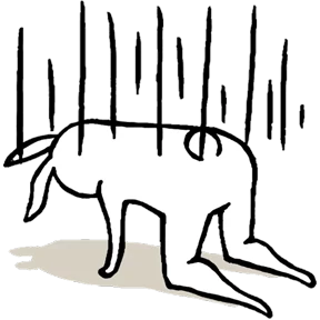 Стикер 55 из набора Rabbit