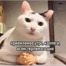 Обложка набора РабочийчАД