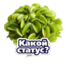 Обложка набора Расцветай с Карьера в ВТБ