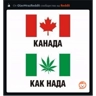 Обложка набора Редит