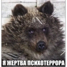 Обложка набора rrollfr