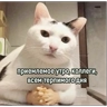 Обложка набора Сашин эксклюзивный
