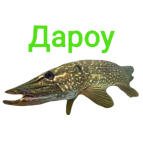 Стикер из набора Щука