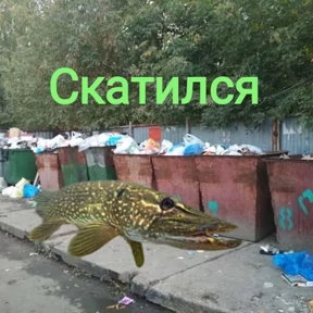Стикер из набора Щука