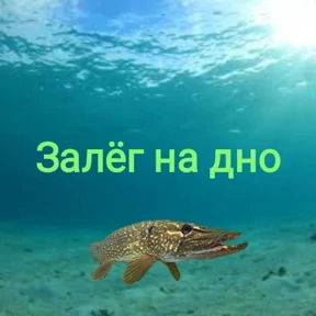 Стикер 6 из набора Щука