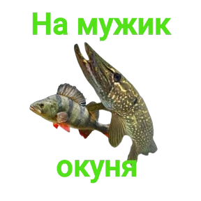 Стикер 25 из набора Щука