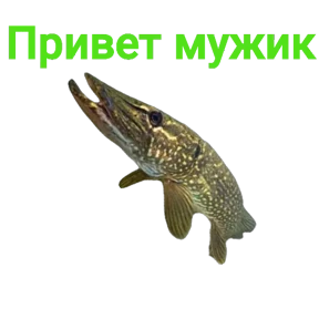 Стикер 31 из набора Щука