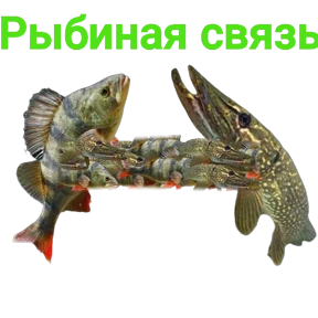 Стикер 33 из набора Щука