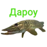 Обложка набора Щука