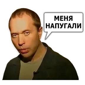 Стикер 8 из набора Сергей Дружко