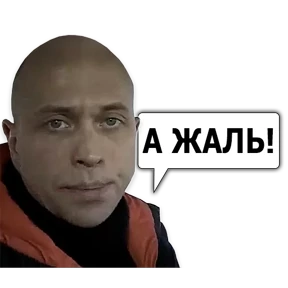 Стикер 68 из набора Сергей Дружко