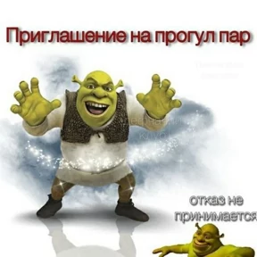Стикер из набора Шрекс
