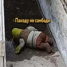 Стикер из набора Шрекс