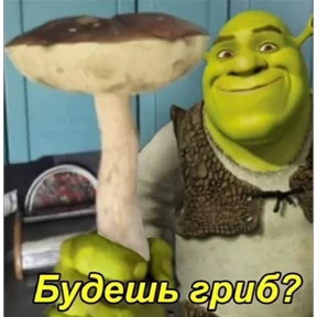 Стикер 86 из набора Шрекс