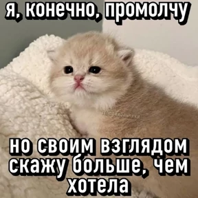Стикер 11 из набора Смешные котятки