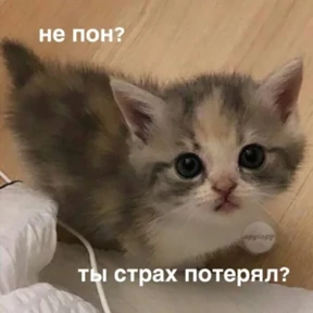 Стикер 2 из набора Смешные котятки