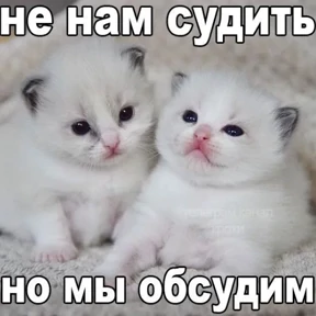 Стикер 13 из набора Смешные котятки