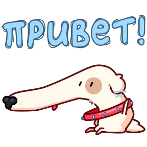 Обложка набора Собака сутулая
