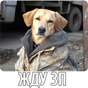 Стикер 56 из набора Собакены