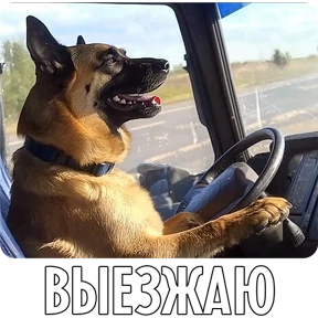 Стикер 3 из набора Собакены