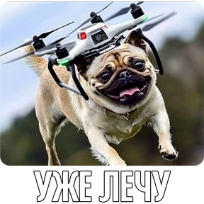 Стикер 80 из набора Собакены
